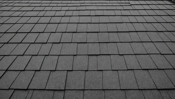 Démoussage toiture : les solutions pour un toit durable et sain